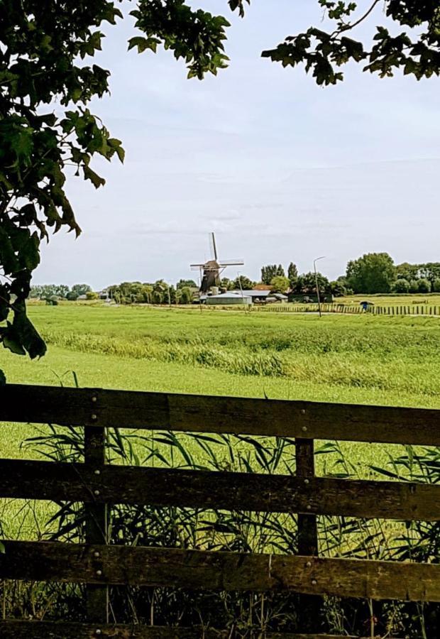 Bed & Breakfast Donna Pijnacker Eksteriør bilde